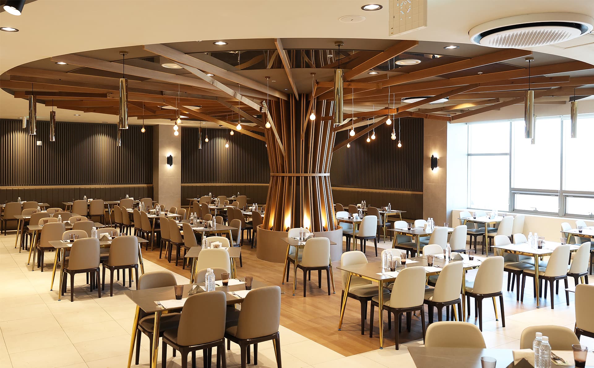 강○○ & 조○○ 웨딩